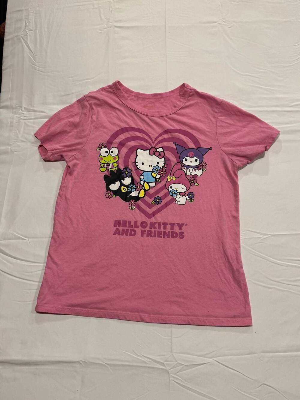 Sanrio Hello Kitty And Friends Pink T-Shirt with Character Graphic